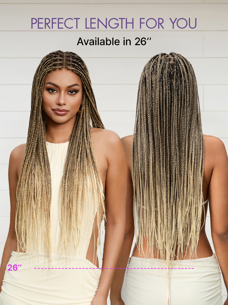 🔥Last Day: 73% Off🔥 Salon Braids HD Lace Knotless Wig ✨